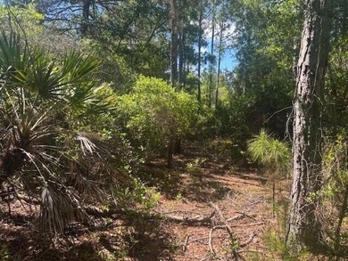 0.88 acres in the path of development. Owner Financing - photo 6