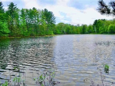 Lake Acreage For Sale in Gaylord, Michigan