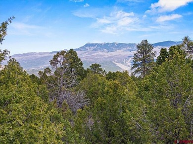 Judy L Darwick, United Country Sneffels Realty, Cell:,,: - photo 12