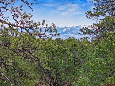 Judy L Darwick, United Country Sneffels Realty, Cell:,,: - photo 13