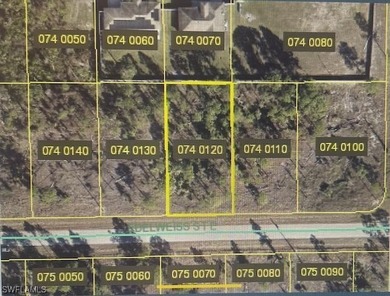 Lehigh Acres Area Lot For Sale in Lehigh Acres Florida