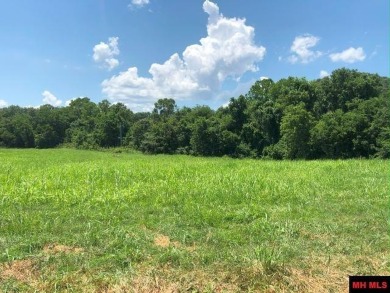 Lake Lot For Sale in Yellville, Arkansas