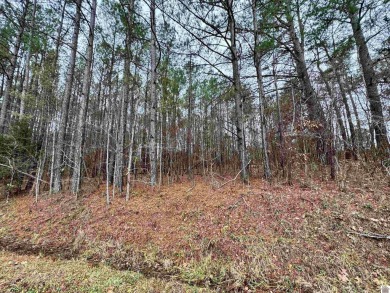 Lake Lot For Sale in Hardin, Kentucky