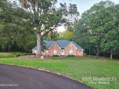 (private lake, pond, creek) Home For Sale in Olive Branch Mississippi