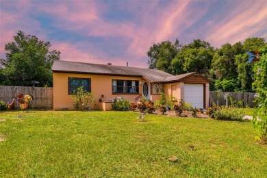 West Crooked Lake Home Sale Pending in Eustis Florida