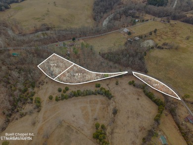 Nolichucky River Acreage For Sale in Morristown Tennessee