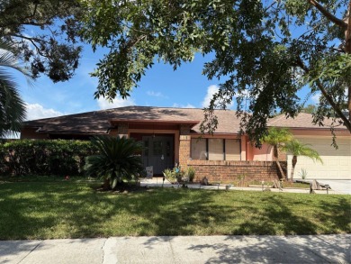 Lake Home For Sale in Brandon, Florida