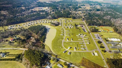 Welcome to 139 Brooks Drive in Evergreen by Holly Hill, a - photo 25