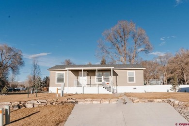 Lake Home For Sale in Montrose, Colorado