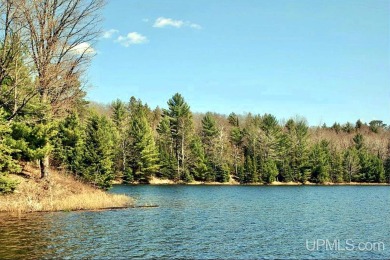 Lake Acreage For Sale in Iron River, Michigan