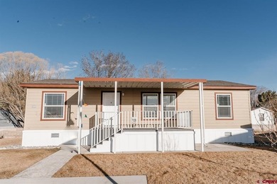 Lake Home For Sale in Montrose, Colorado