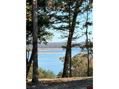 Lake Lot For Sale in Yellville, Arkansas