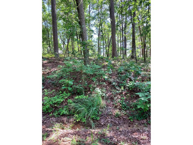 Lake Coronado Lot For Sale in Hot Springs Village Arkansas