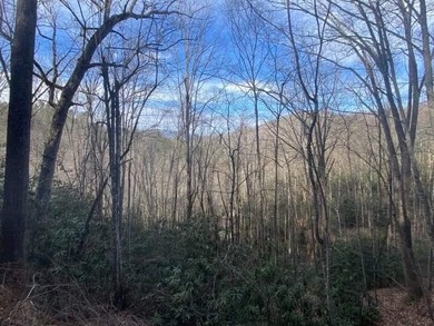 Fontana Lake Acreage For Sale in Robbinsville (Graham) North Carolina