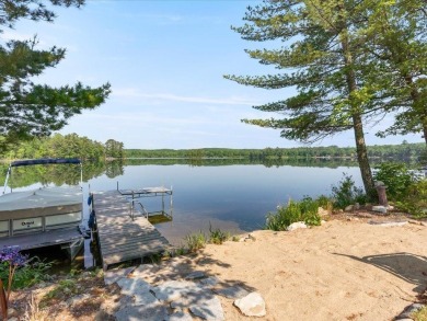Lake Home For Sale in Ponto Lake Twp, Minnesota