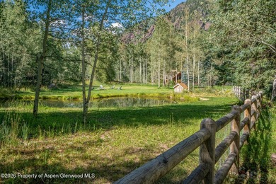 An Exceptional Opportunity in the Heart of Castle Creek Valley - photo 11