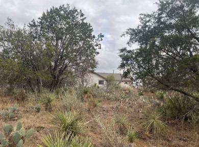 Lake Lot For Sale in Granite Shoals, Texas