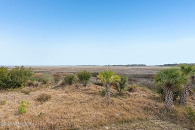 Discover the rare beauty of life on Black Hammock Island. This - photo 22