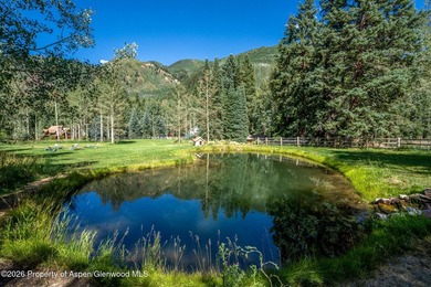 An Exceptional Opportunity in the Heart of Castle Creek Valley - photo 28