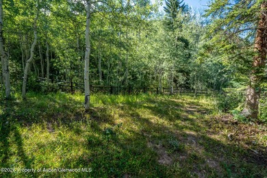 An Exceptional Opportunity in the Heart of Castle Creek Valley - photo 32