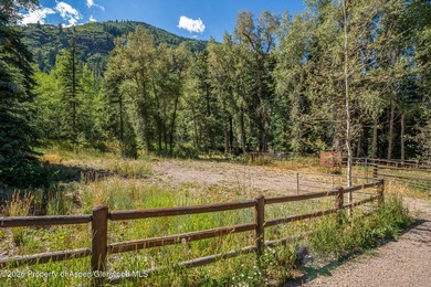 An Exceptional Opportunity in the Heart of Castle Creek Valley - photo 33