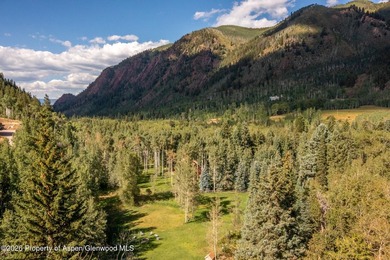An Exceptional Opportunity in the Heart of Castle Creek Valley - photo 34