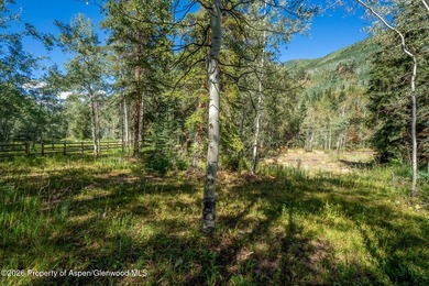 An Exceptional Opportunity in the Heart of Castle Creek Valley - photo 35