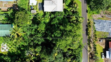 Skip the wait and start building your island retreat today! This - photo 1
