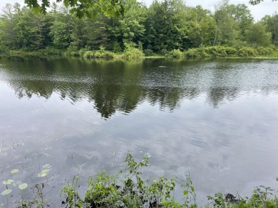 (private lake, pond, creek) Acreage For Sale in Pittsfield Maine