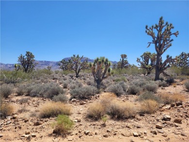 Lake Mead Lot For Sale in Meadview Arizona