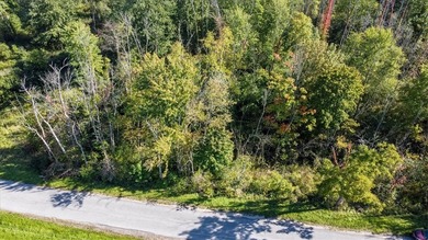 Empire State Trail System & Black Brook County Park adjoin this - photo 6