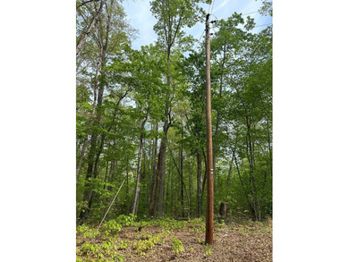 #73120-The Hideaway at Kerr Lake!! Over 1.6 acres of land tucked - photo 11