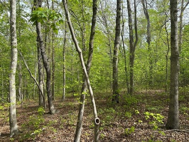 #73120-The Hideaway at Kerr Lake!! Over 1.6 acres of land tucked - photo 12