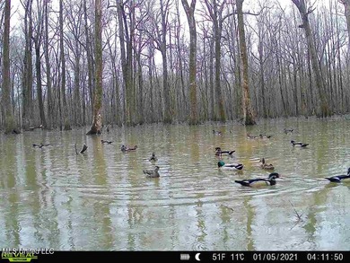 (private lake, pond, creek) Acreage Sale Pending in Belzoni Mississippi