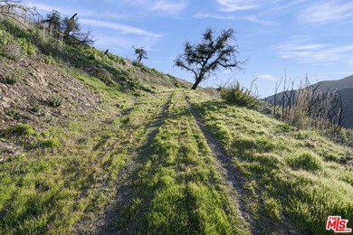 An exceptional opportunity spanning approximately 66 acres - photo 6