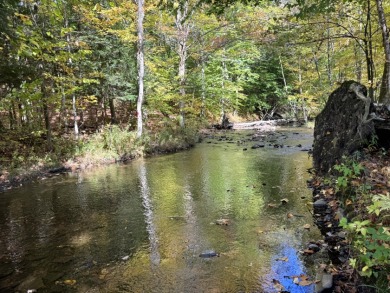 (private lake, pond, coastal) Lot For Sale in Orwell New York