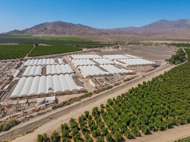 71 acres in warm Oasis area on two parcels. Structured - photo 3
