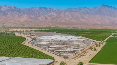 71 acres in warm Oasis area on two parcels. Structured - photo 4