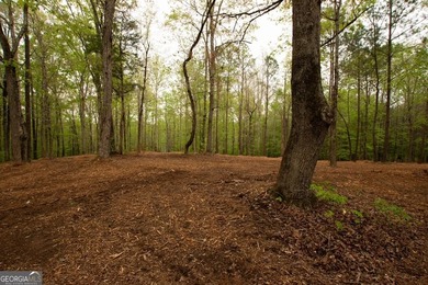Welcome to an extraordinary opportunity to build your dream - photo 4
