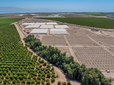 71 acres in warm Oasis area on two parcels. Structured - photo 5