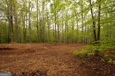 Welcome to an extraordinary opportunity to build your dream - photo 5