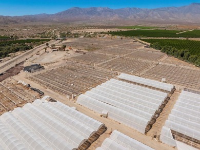 71 acres in warm Oasis area on two parcels. Structured - photo 6