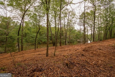 Welcome to an extraordinary opportunity to build your dream - photo 9