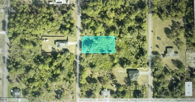 Lehigh Acres Area Lot For Sale in Lehigh Acres Florida