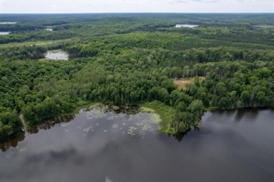 14AC Dunn Lake Parcel - photo 12