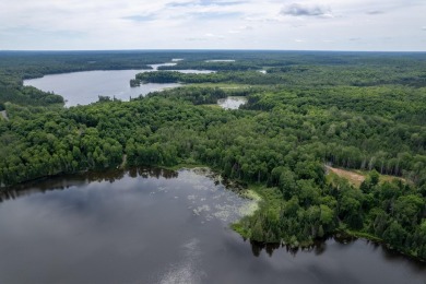 14AC Dunn Lake Parcel - photo 13
