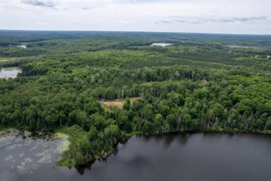 14AC Dunn Lake Parcel - photo 14