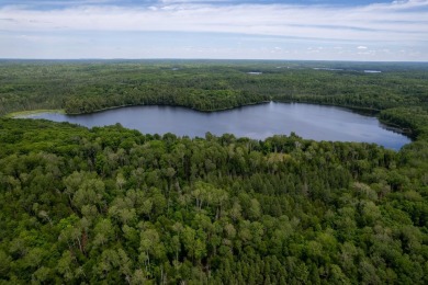 14AC Dunn Lake Parcel - photo 15