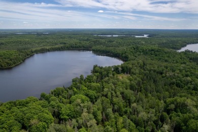 14AC Dunn Lake Parcel - photo 17