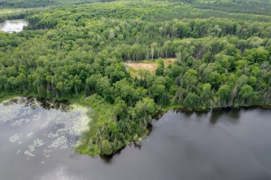 14AC Dunn Lake Parcel - photo 22